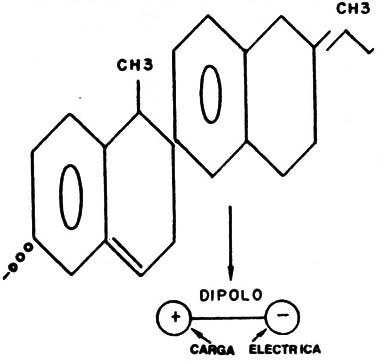 Figura 8 – Estructura de un colesterol usado en cristales líquidos .
