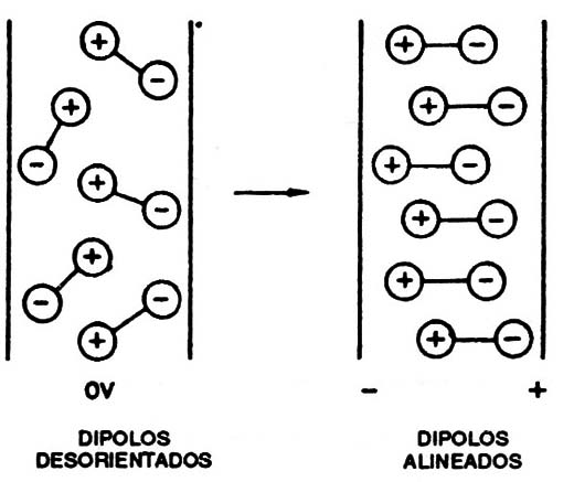 Figura 9 – Las moléculas se alinean bajo la acción de fuerzas eléctricas.
