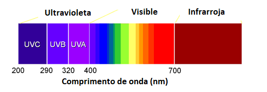 Figura 1 - Espectro visible de radiación infrarroja y ultravioleta.
