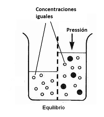  Figura 2 - Condición de equilibrio dada por la presión osmótica
