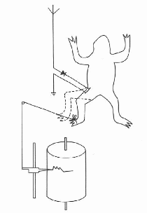 Figura 1 - Detector de pierna de rana
