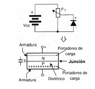 Figura 28 – Polarización de un diodo en la dirección inversa