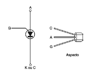 Figura 7 - Símbolo y aspecto del PUT

