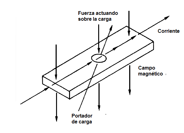 Figura 11  - Los campos magnéticos actúan sobre las corrientes
