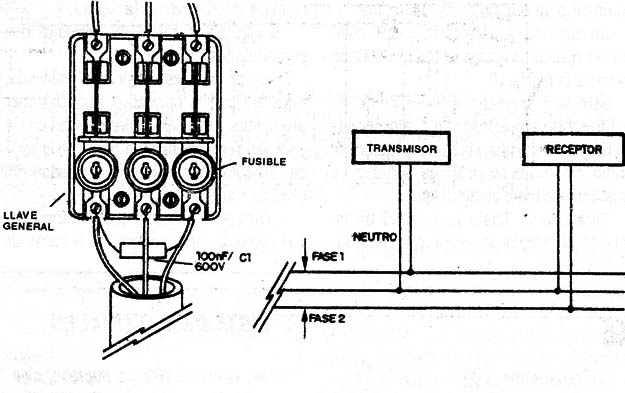 Figura 11
