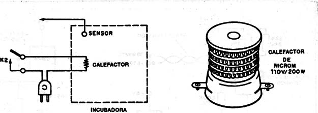 Figura 9
