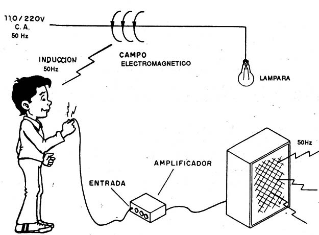 Figura 1
