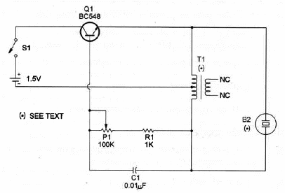 Cebo Electrónico
