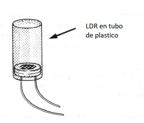 Figura 7

