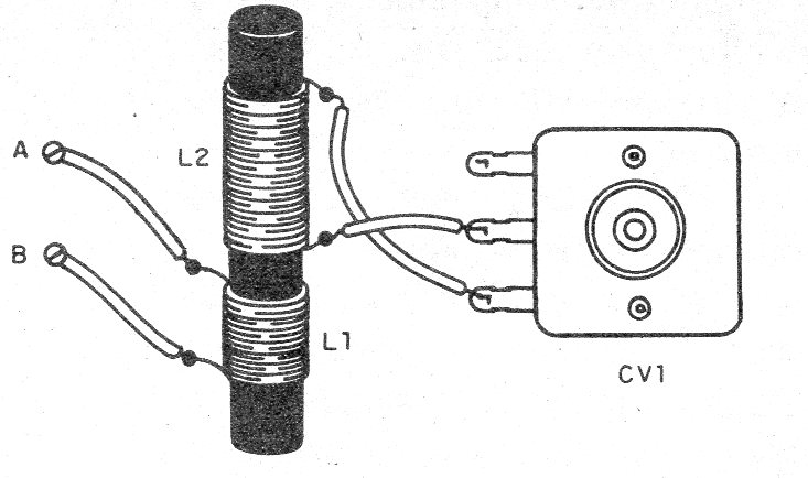 Figura 2 - Aspecto del montaje
Figura 2 - Aspecto del montaje